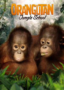 Orangutan Jungle School poster