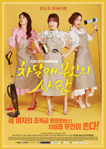 Madam Cha Dal Rae's Love poster
