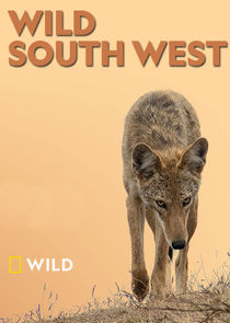 Wild South West poster