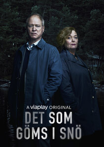 Det som göms i snö poster