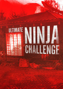 Ultimate Ninja Challenge poster