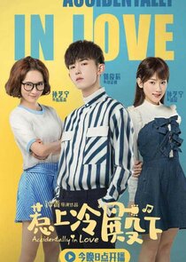 Accidentally in Love poster