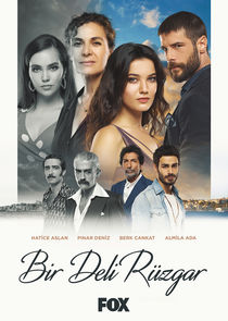 Bir Deli Rüzgar poster