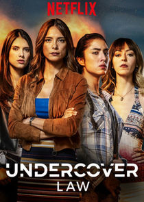 Undercover Law poster