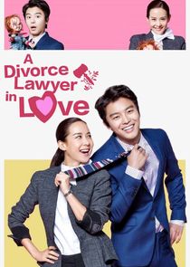 A Divorce Lawyer in Love poster
