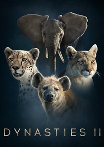 Dynasties poster