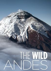 The Wild Andes poster