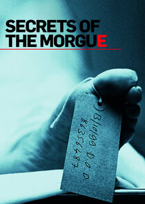 Secrets of the Morgue poster
