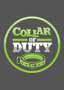 Collar of Duty poster