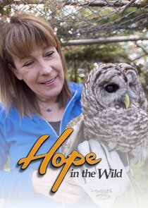 Hope in the Wild poster