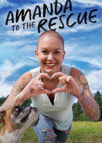 Amanda to the Rescue poster