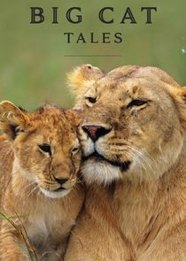 Big Cat Tales poster