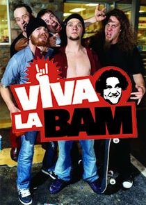 Viva La Bam poster
