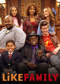 Like Family poster