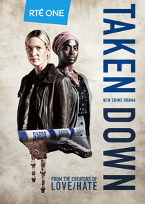 Taken Down poster