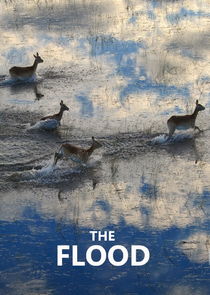 The Flood poster