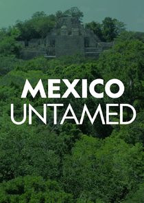 Mexico Untamed poster