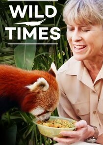 Wild Times poster