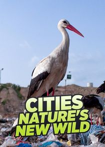 Cities: Nature's New Wild poster
