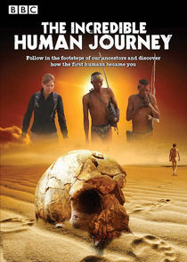 The Incredible Human Journey poster