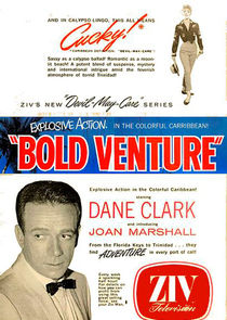 Bold Venture poster