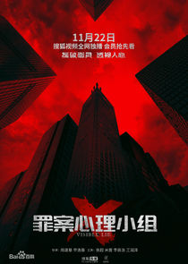 Visible Lie poster
