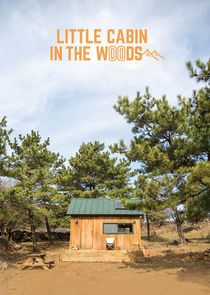 Little Cabin in the Woods poster