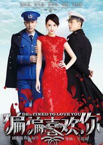 Destined to Love You poster