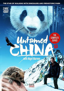 Untamed China with Nigel Marven poster