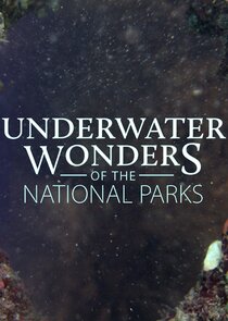 Underwater Wonders of the National Parks poster