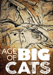 Age of Big Cats poster