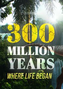 300 Million Years poster