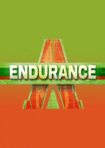 Endurance poster
