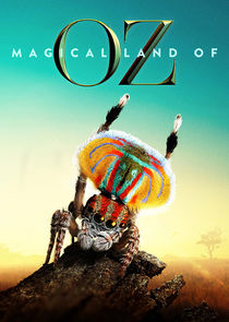 Magical Land of Oz poster