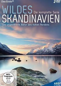 Wildes Skandinavien poster