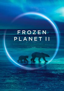 Frozen Planet II poster