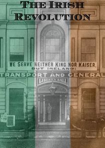 The Irish Revolution poster