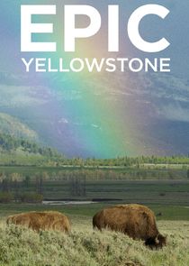Epic Yellowstone poster