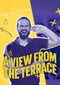 A View from the Terrace poster