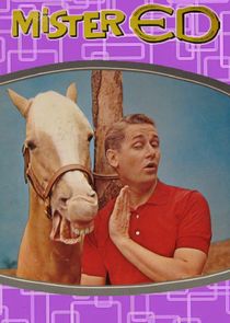 Mister Ed poster