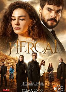 Hercai poster