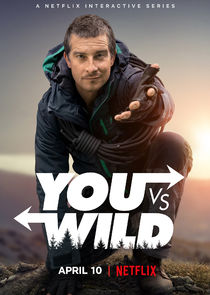 You vs. Wild poster