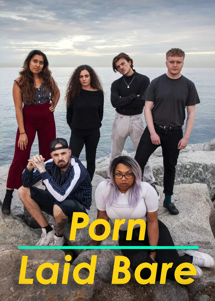 Porn Laid Bare poster