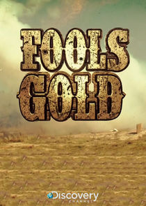 Fools Gold poster
