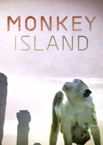 Monkey Island poster