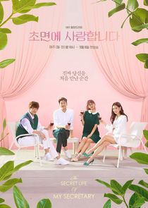 The Secret Life of My Secretary poster