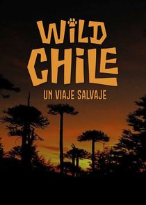 Wild Chile: Un Viaje Salvaje poster