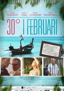 30 grader i februari poster