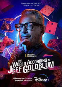 The World According to Jeff Goldblum poster