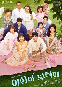 Home for Summer poster